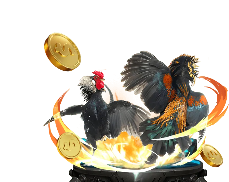 Hình ảnh tầm nhìn benvip win